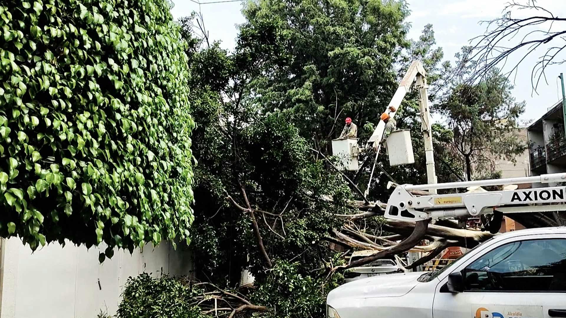 ¡La Narvarte sufre los estragos de la lluvia! Así lo reporta 'El Diablo' Becerril