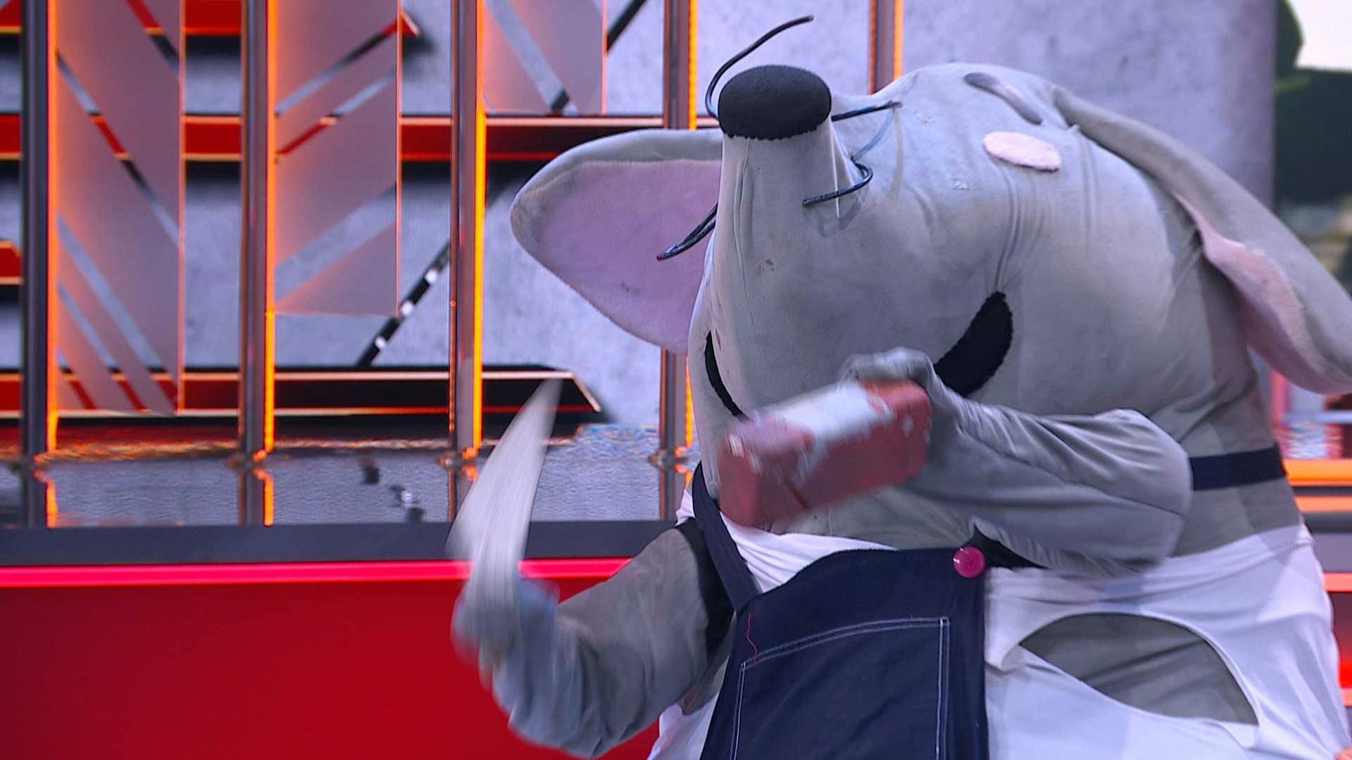 ¿Kecho trabajando como ayudante de albañil? ¡Así le fue al incómodo roedor!