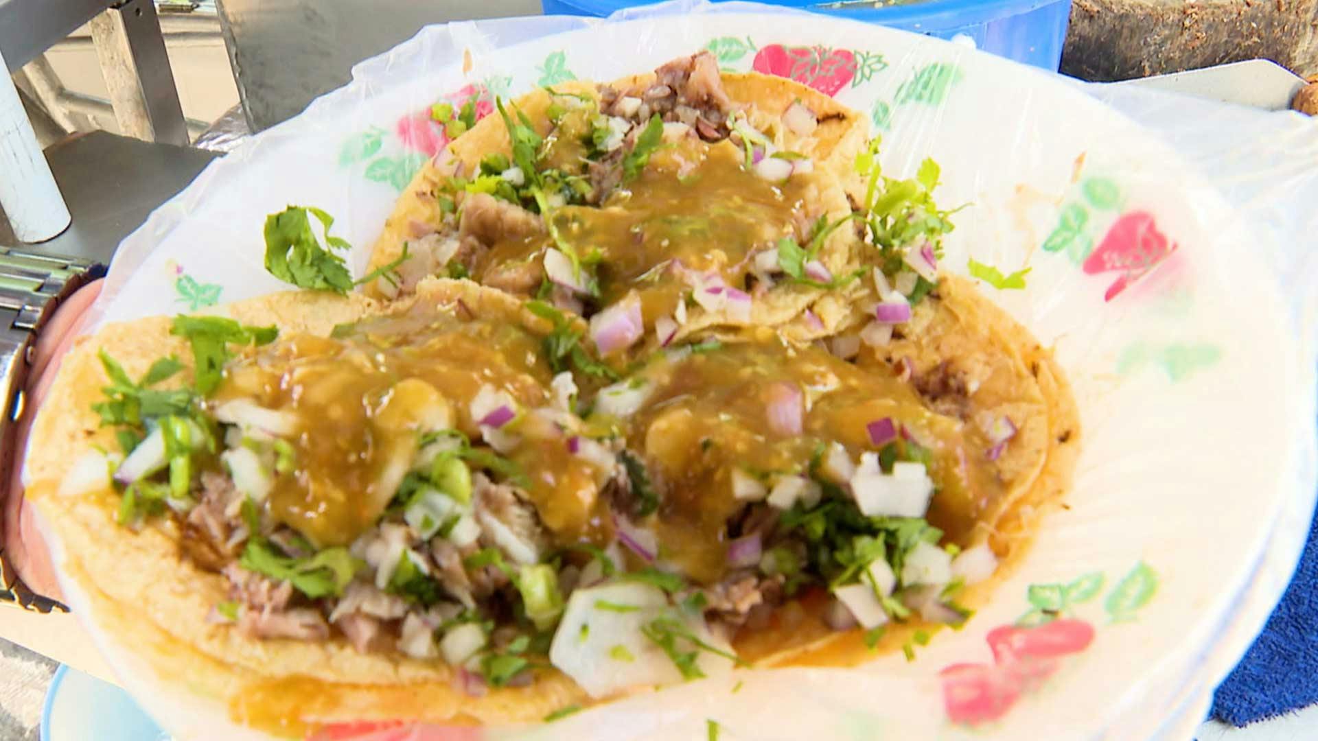 ¡Sotelo resguarda unos inigualables tacuaches de cabeza! ¿Serán los mejores?