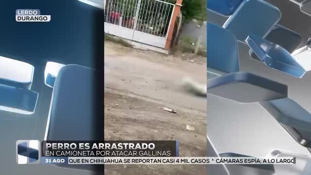 Noticias Laguna del 31 de agosto 2025