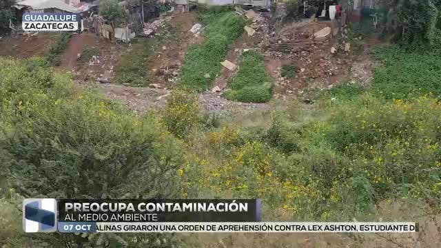 Noticias Zacatecas del 7 de octubre 2025