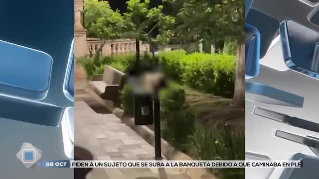 Noticias Zacatecas del 8 de octubre 2025