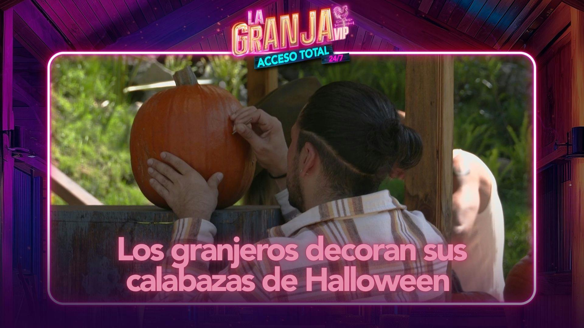 ¡El HALLOWEEN llegó antes a La Granja VIP! Las celebridades decoran sus calabazas 