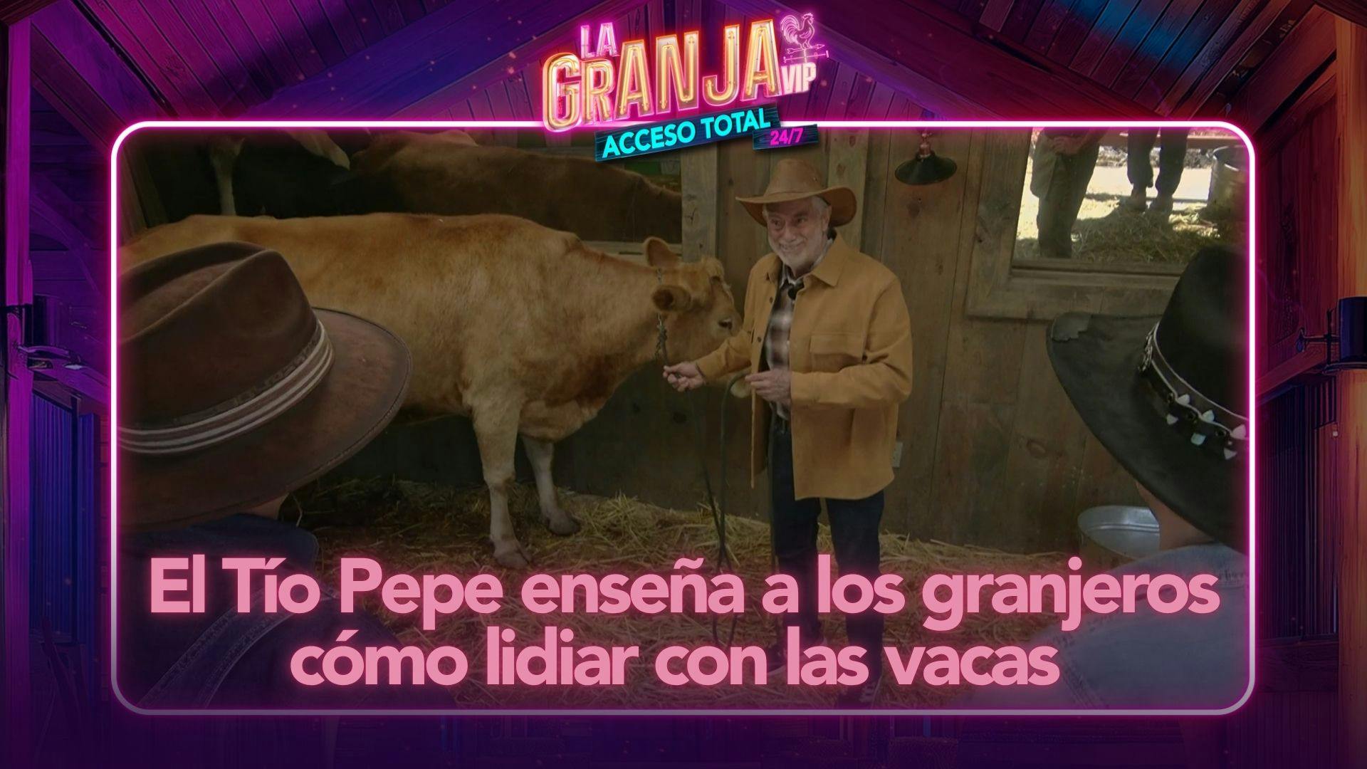 El Tío Pepe ofrece una lección imperdible; los granjeros aprenden a lidiar con las vacas (VIDEO)