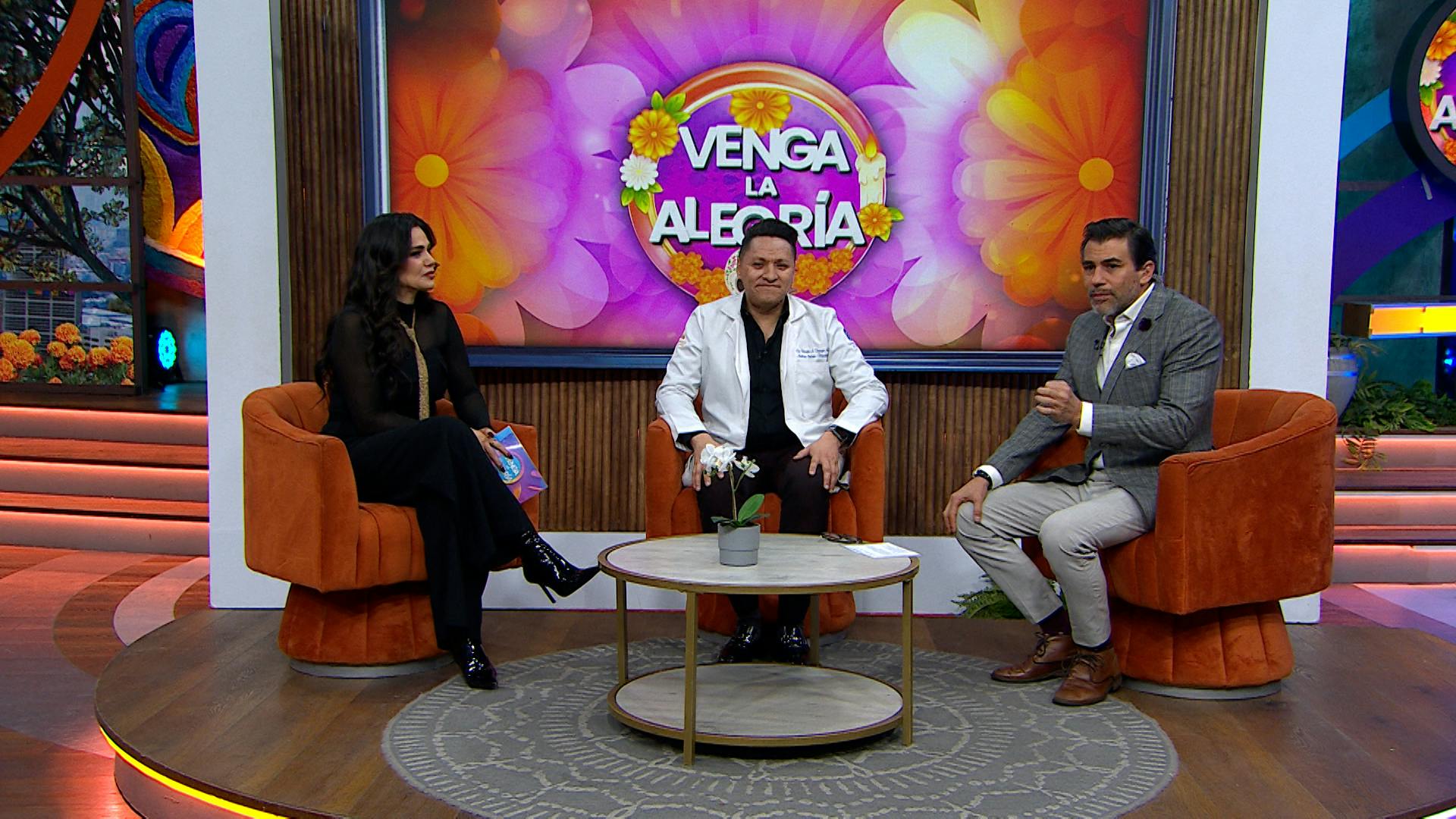 ¿Te salen moretones de la nada? ¡Cuidado! Podrías padecer el síndrome mielodisplásico