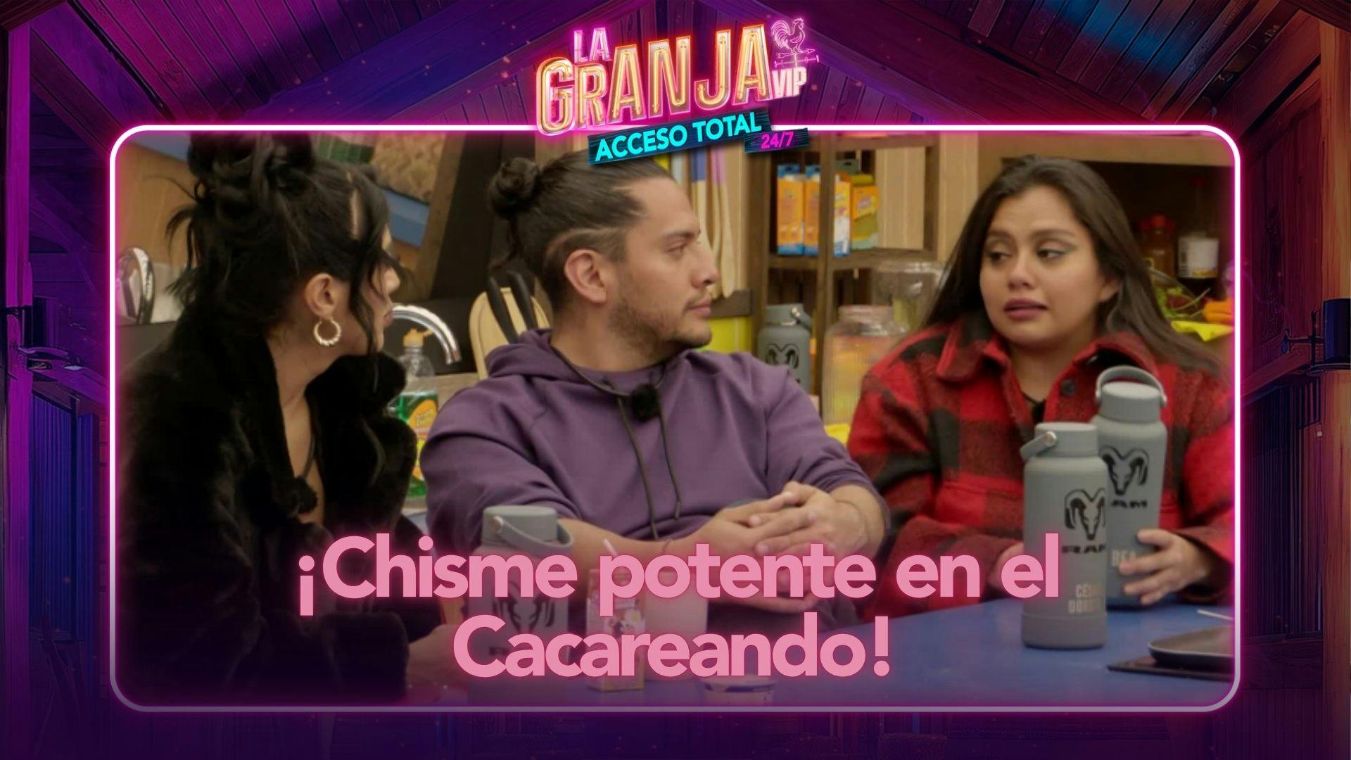 Cacareo al rojo vivo en La Granja VIP