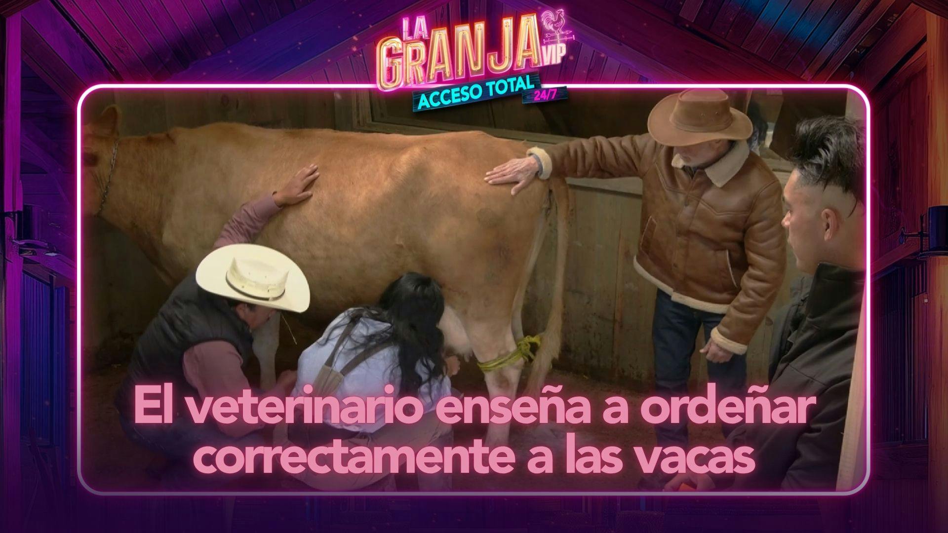 ¡Llega una visita especial a La Granja VIP! El veterinario enseña a ordeñar correctamente a las vacas (VIDEO)