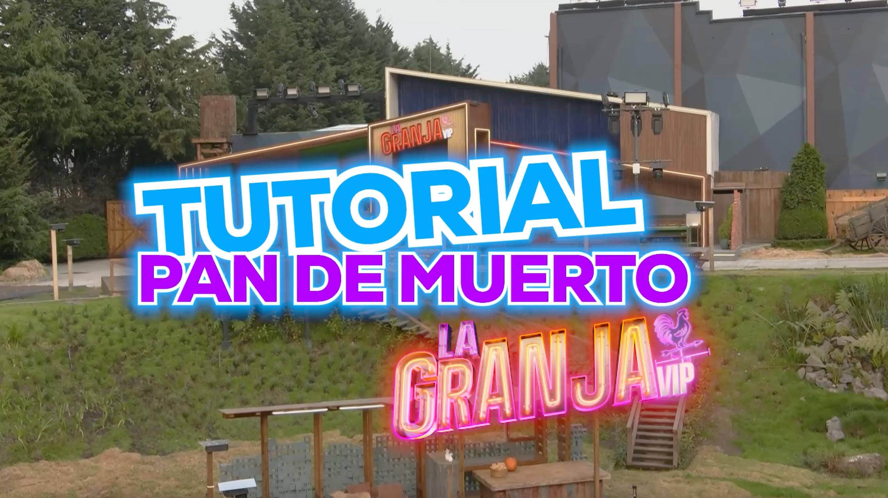 PASO A PASO: Esta es la receta de Pan de Muerto que hicimos en La Granja VIP
