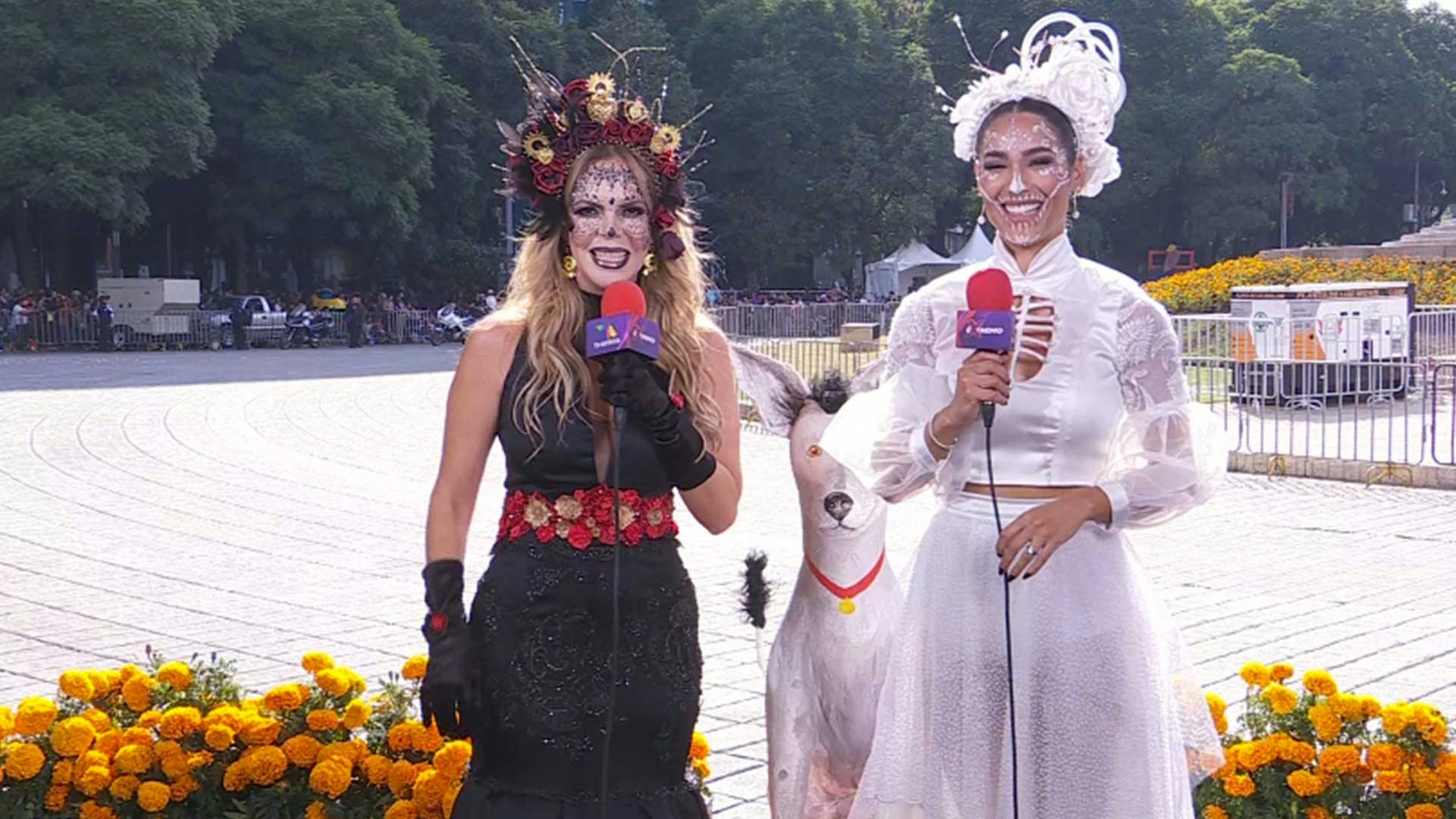 Al Extremo Fin de Semana | Programa 1 de noviembre del 2025