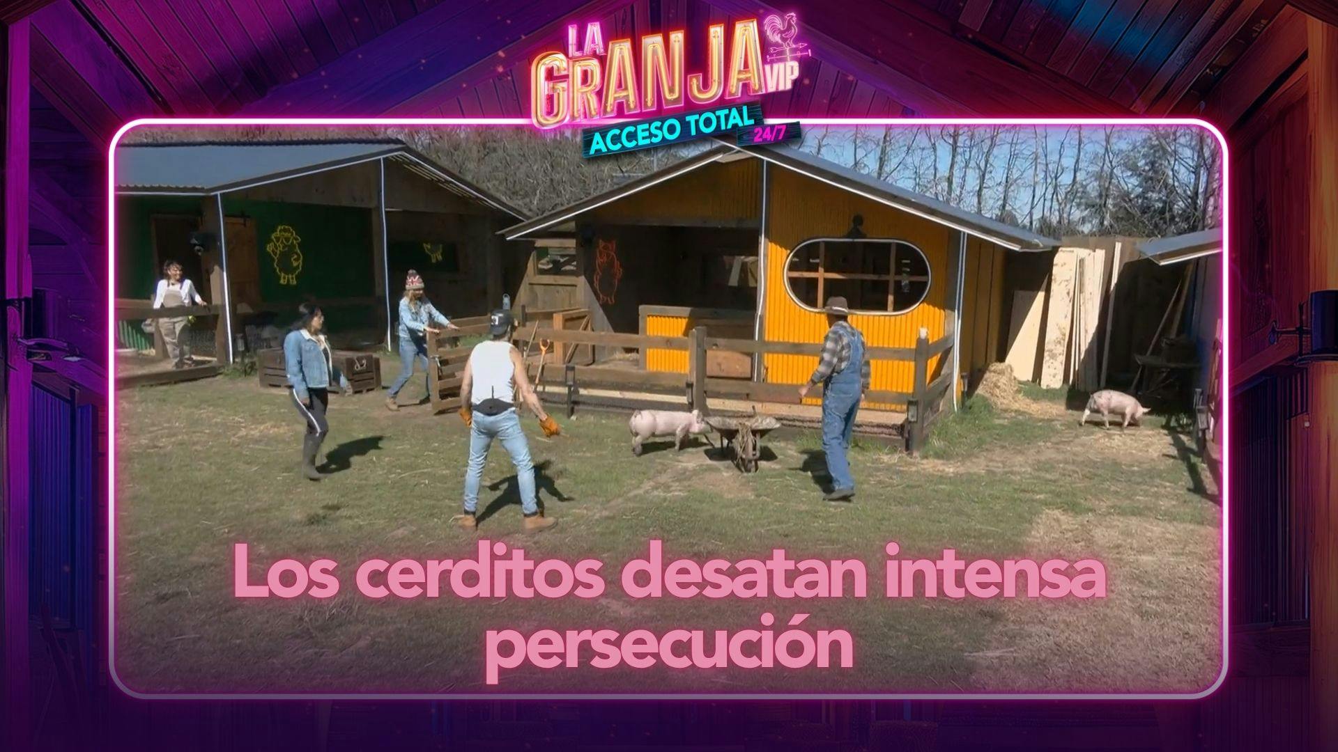 ¡Cero y van dos! Los cerditos de La Granja VIP se le escapan a Alfredo Adame (VIDEO)