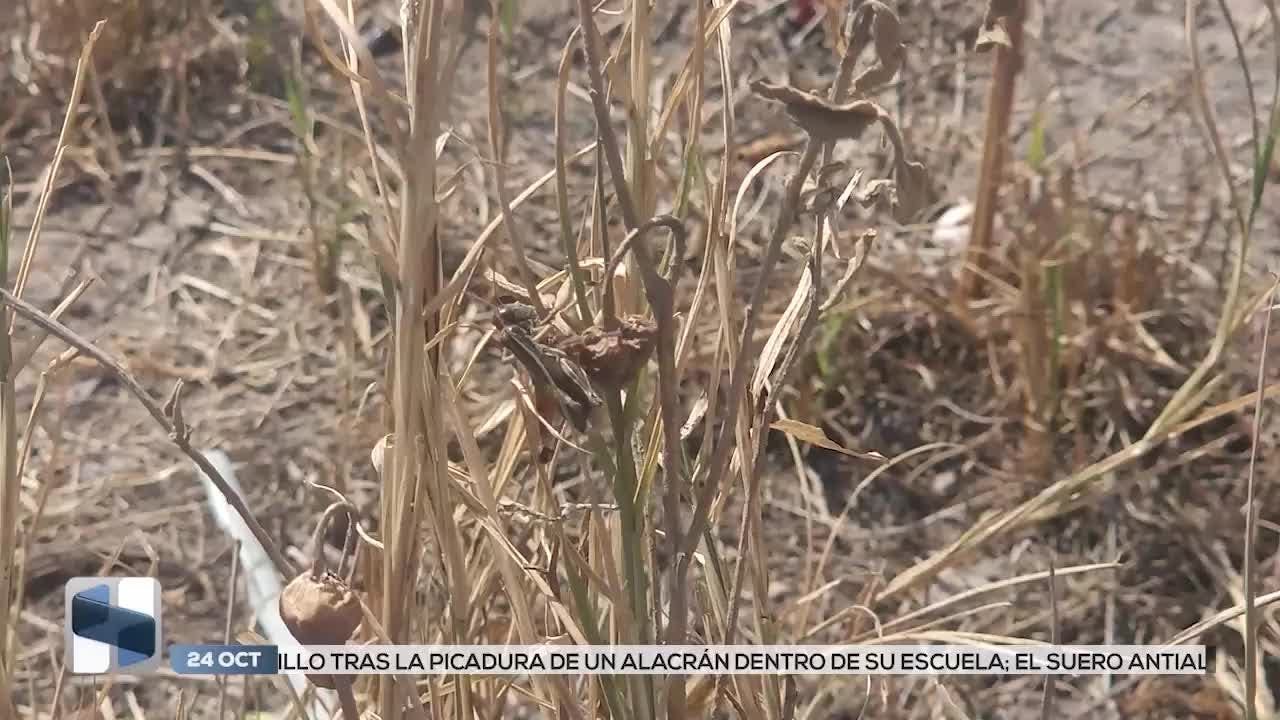 Noticias San Luis Potosí del 24 de octubre 2025