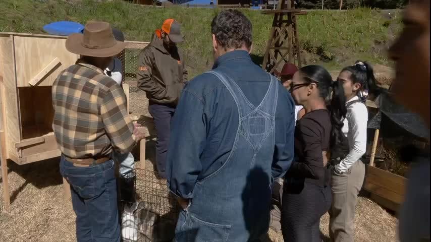 ¡Llegaron los conejos a La Granja VIP! Así reaccionaron los granjeros ante los nuevos habitantes