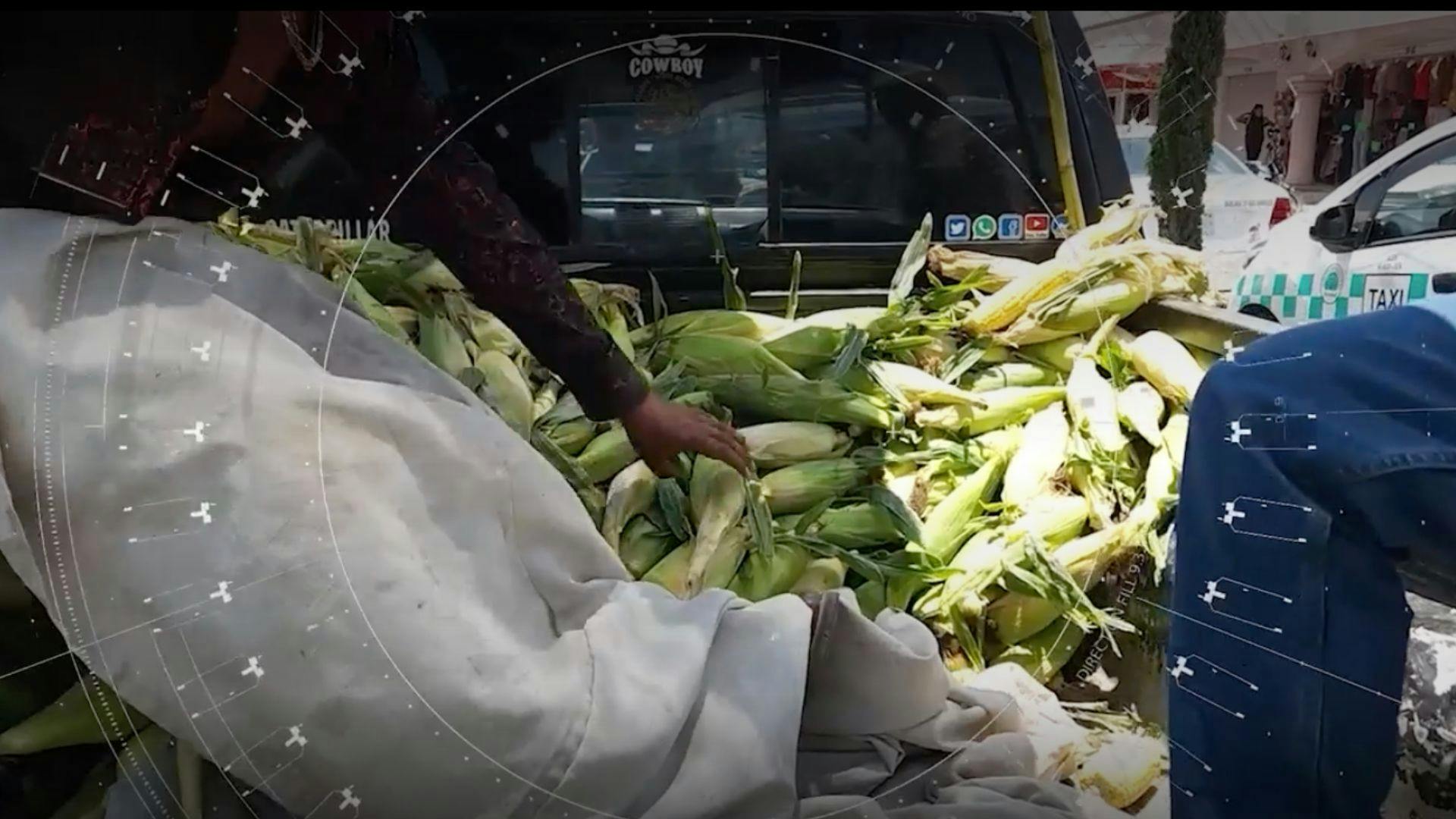 Noticias Estado De México del 29 de octubre 2025