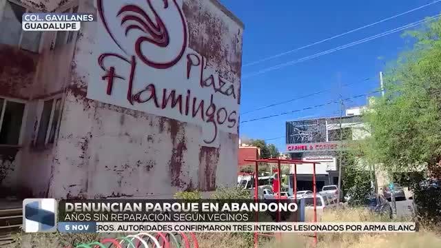 Noticias Zacatecas del 5 de noviembre 2025