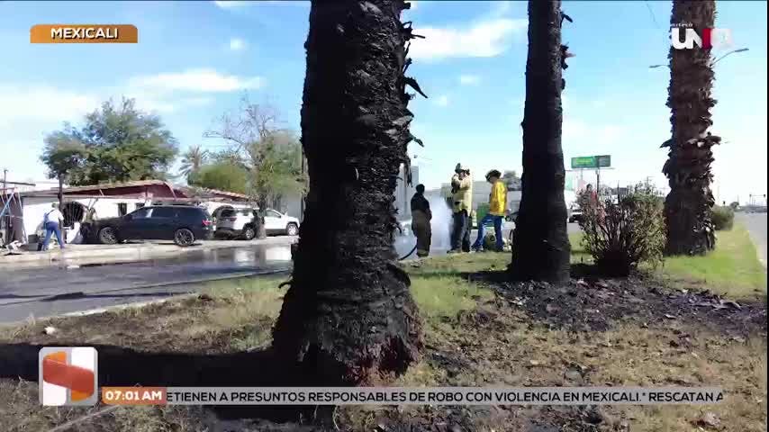 Noticias Baja California del 12 de noviembre 2025