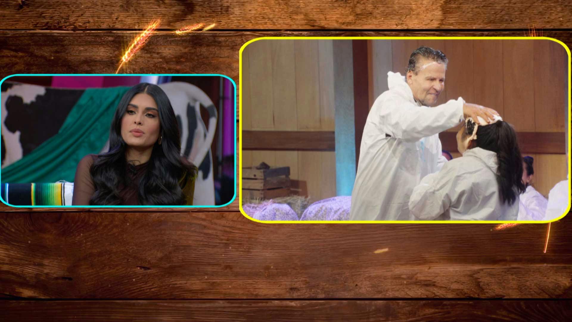 ¿El gusto se volvió 'susto'? Los pastelazos de La Granja VIP se salieron de control