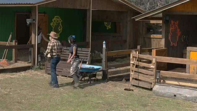 ¡INTRUSOS en El Granero! Mira la INVASIÓN DE BORREGOS en el dormitorio de los peones