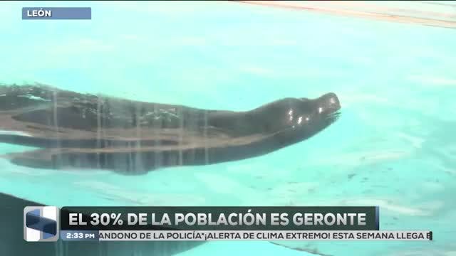 Noticias Bajío del 4 de diciembre 2025