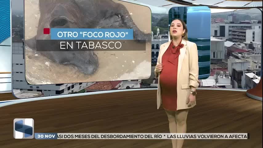 Noticias Tabasco del 30 de noviembre 2025