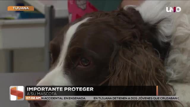 Noticias Baja California del 12 de diciembre 2025