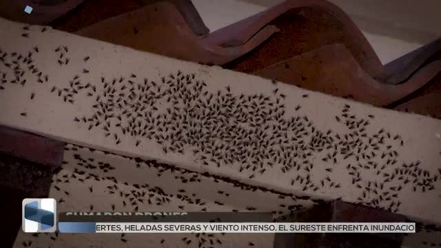 Noticias Hidalgo del 31 de diciembre 2025