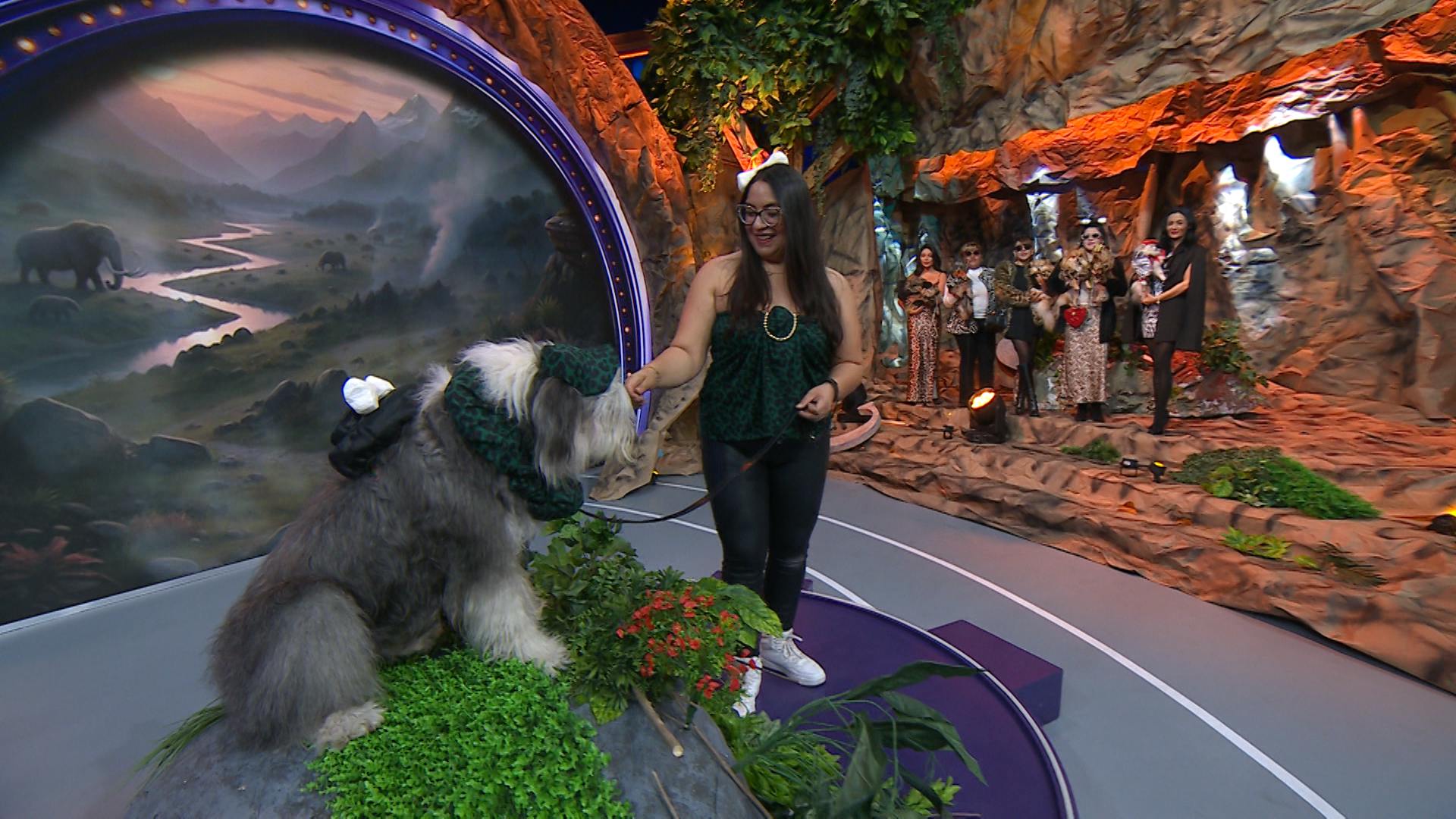 ¡Con animal print! Pasarela para vestir a tus lomitos 'muy a la moda'