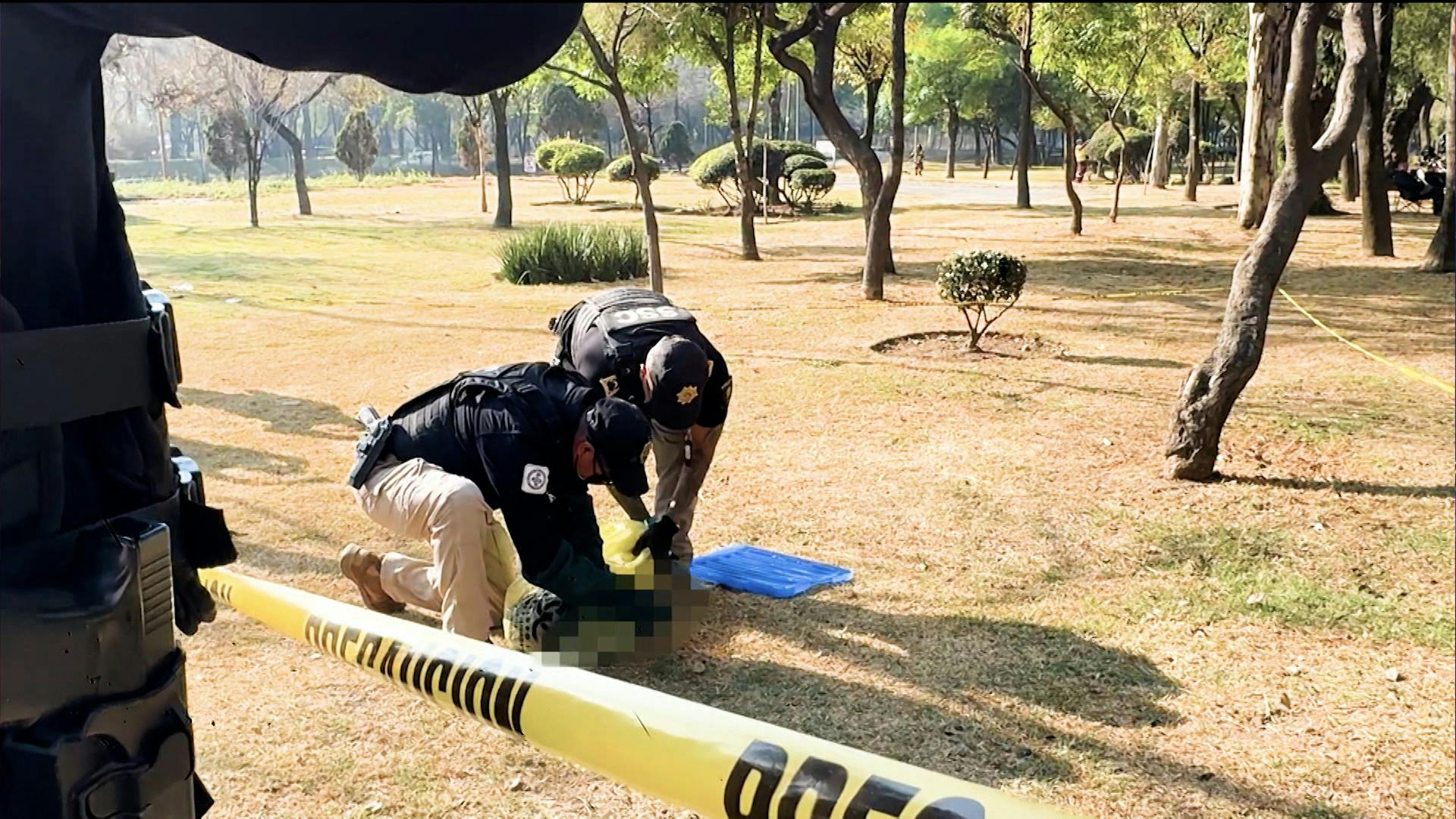 ¡Un perro pierde la vida y se registra un fuerte siniestro! Esto sucedió en la GAM y en Reforma