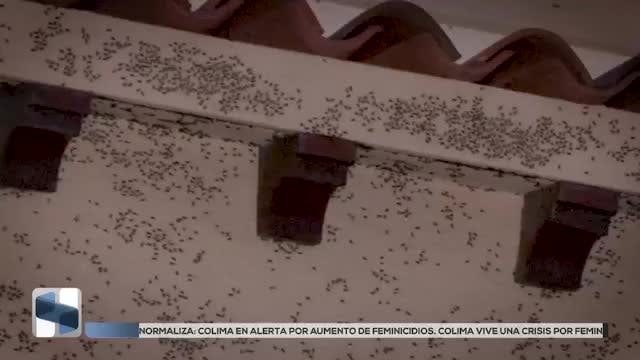 Noticias Hidalgo del 18 de diciembre 2025