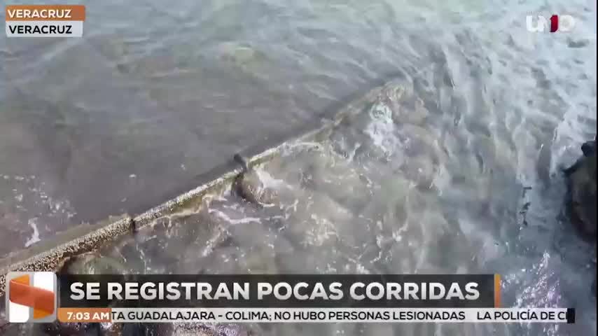Noticias Veracruz del 22 de diciembre 2025