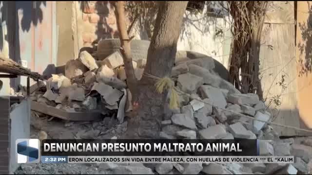 Noticias Jalisco del 22 de diciembre 2025