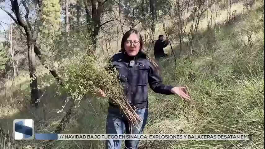 Noticias Estado De México del 25 de diciembre 2025