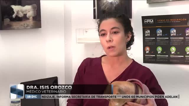 Noticias Colima del 19 de diciembre 2025