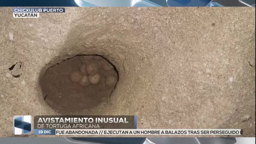 Noticias Yucatán del 19 de diciembre 2025