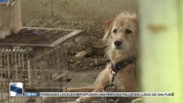 Noticias Yucatán del 26 de diciembre 2025