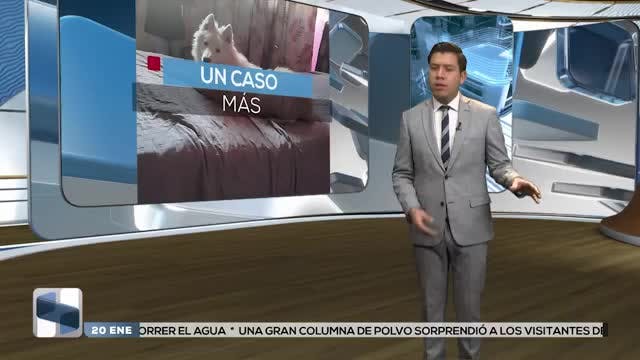 Noticias Zacatecas del 20 de enero 2026