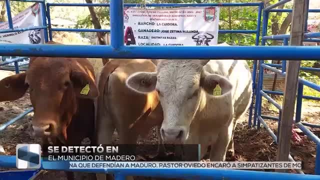 Noticias Michoacán del 8 de enero 2026