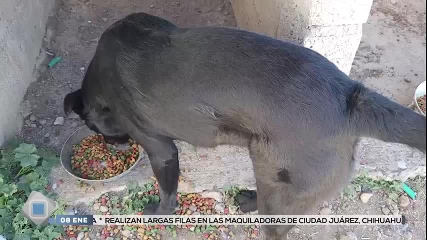 Noticias Zacatecas del 8 de enero 2026