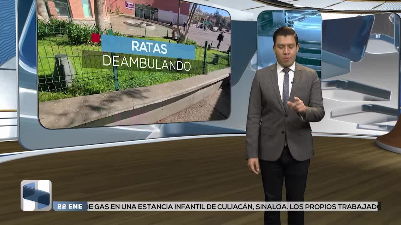 Noticias Zacatecas del 22 de enero 2026