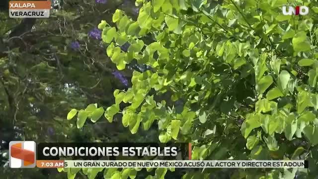 Noticias Veracruz del 9 de febrero 2026