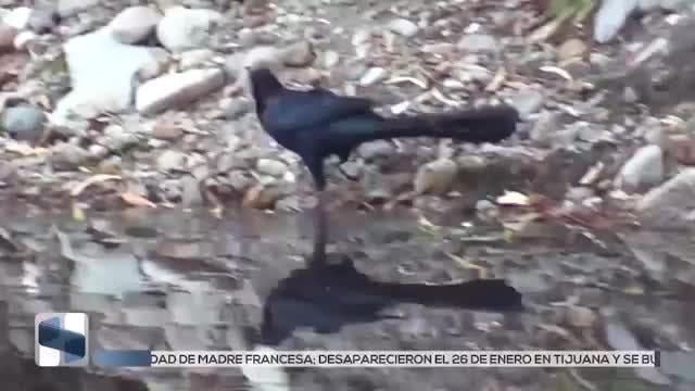 Noticias Hidalgo del 9 de febrero 2026