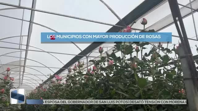 Noticias Estado De México del 13 de febrero 2026