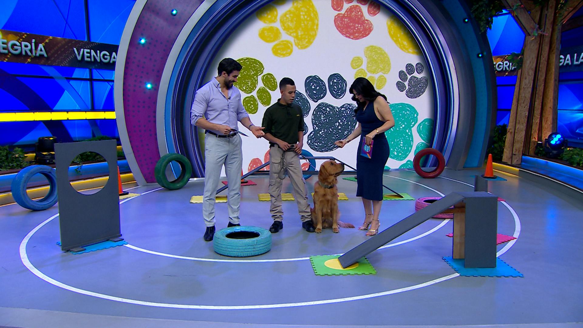 ¿Tu 'lomito' no convive adecuadamente? ¡Educa a tu perrito con estos sencillos tips y consejos!