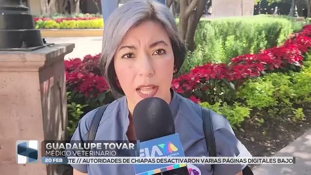 Noticias Querétaro del 20 de febrero 2026