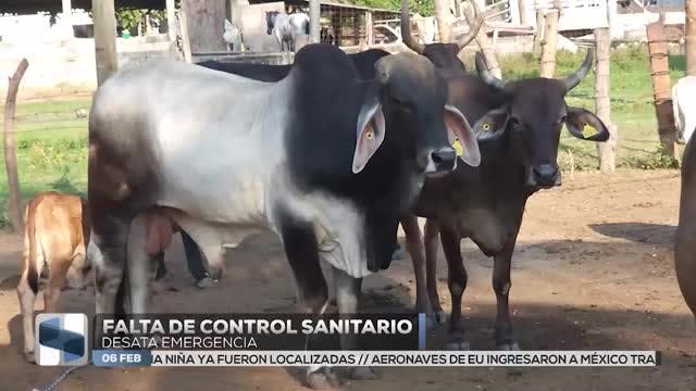 Noticias Guerrero del 6 de febrero 2026