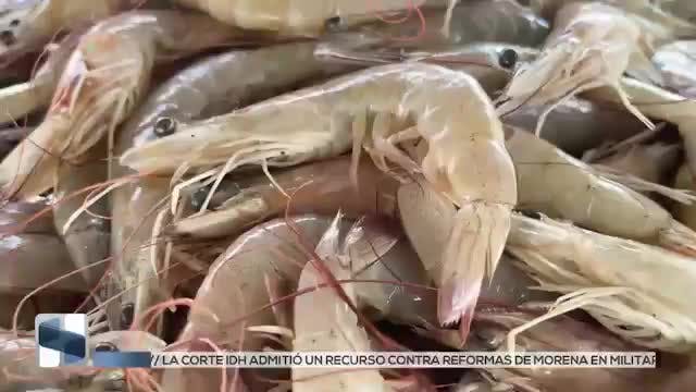 Noticias Sinaloa del 12 de febrero 2026