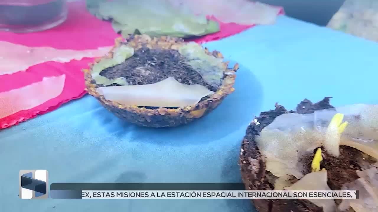 Noticias Chiapas del 13 de febrero 2026