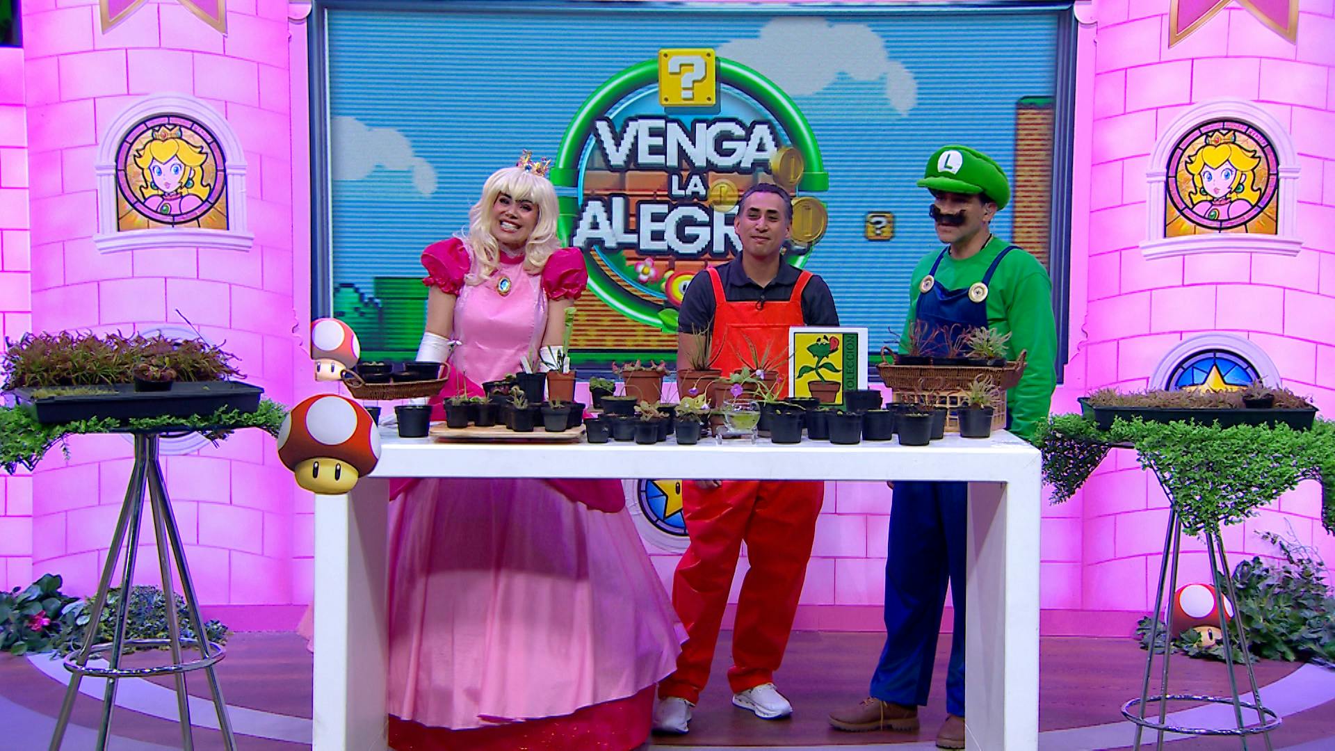 ¿Qué comen? ¿Son mortales? ¡Todo sobre las plantas carnívoras, como las del universo de Mario Bros!