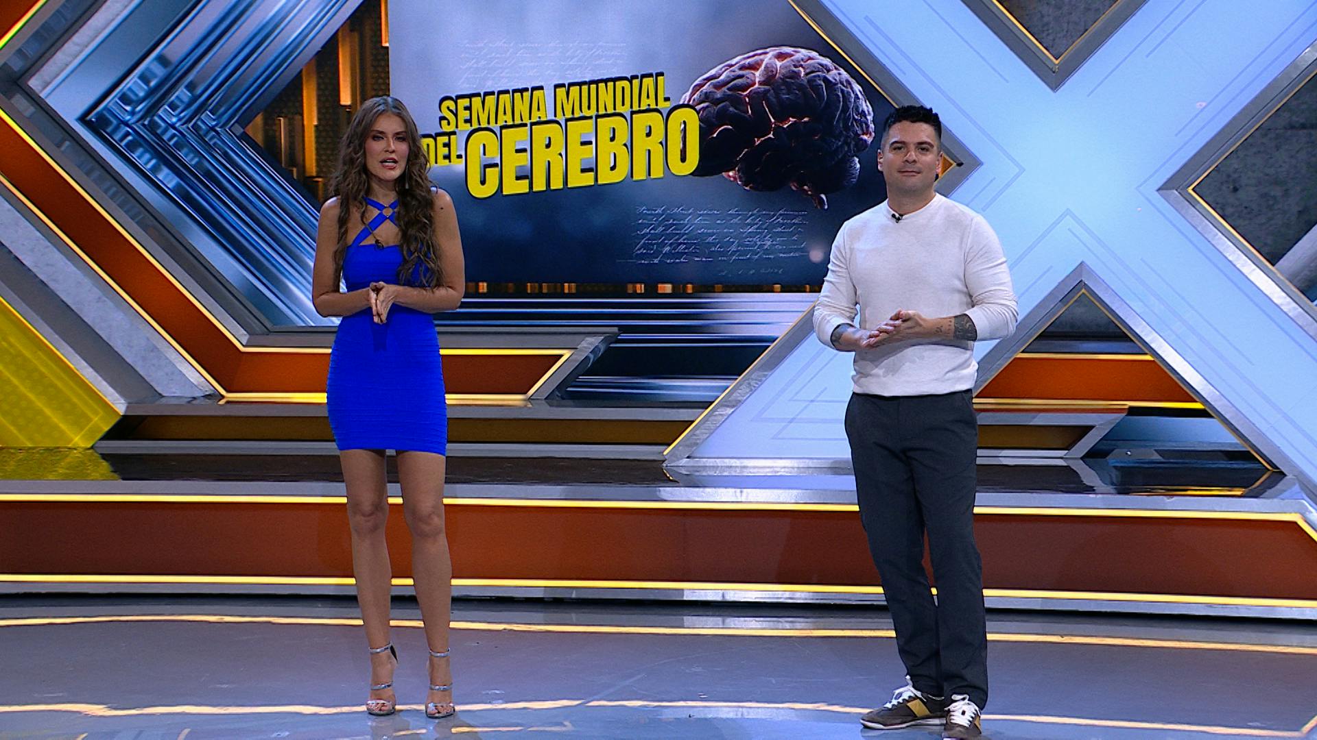 Semana Mundial del Cerebro: Funciones que permite hacer este órgano fundamental en cada persona 