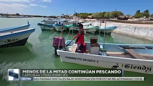 Noticias Yucatán del 20 de febrero 2026
