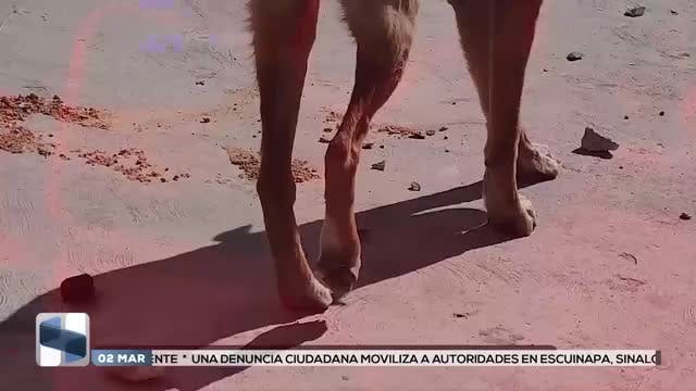 Noticias Durango del 2 de marzo 2026